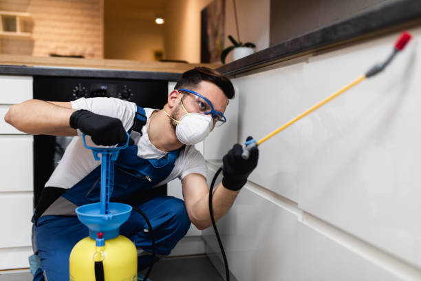Best Affordable Pest Control Services  in Bayonet Point, FL