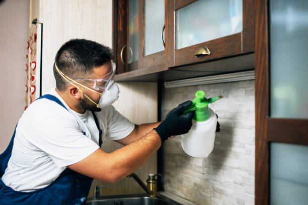 Best Pest Control Cost  in Bayonet Point, FL
