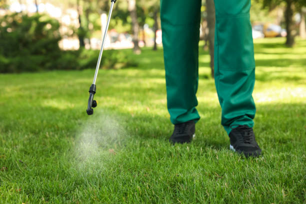 Bird Control in Bayonet Point, FL