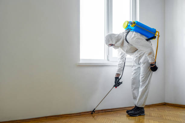 Best Termite Control Services  in Bayonet Point, FL