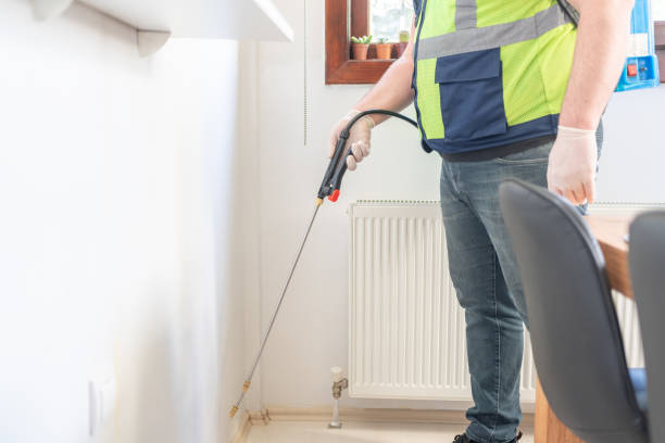 Best Flea Control Services  in Bayonet Point, FL