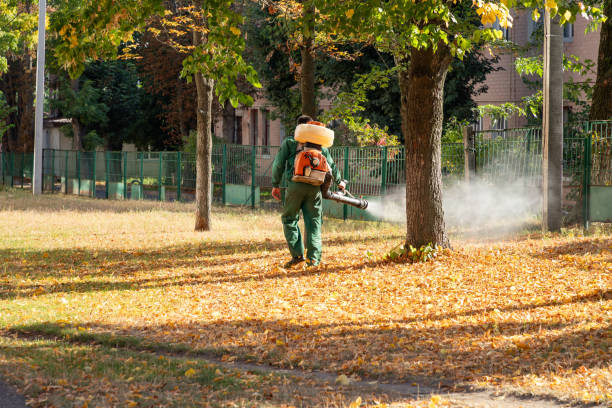Best Mosquito Control Services  in Bayonet Point, FL