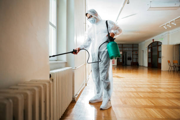 Best Local Pest Control Services  in Bayonet Point, FL