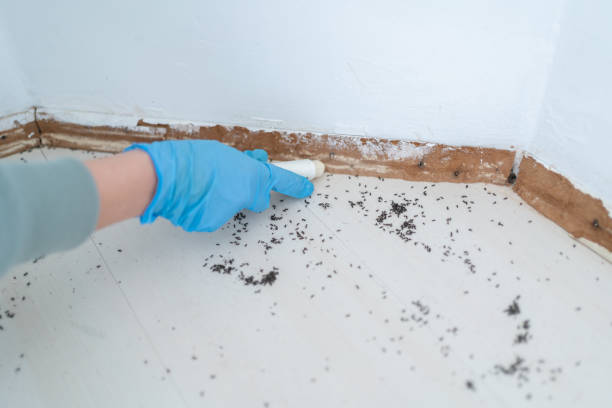 Pest Control Cost in Bayonet Point, FL